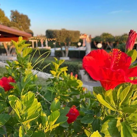 Villalessandra Couette-café