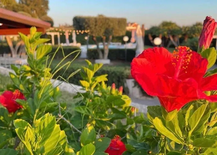 Villalessandra Bed & Breakfast